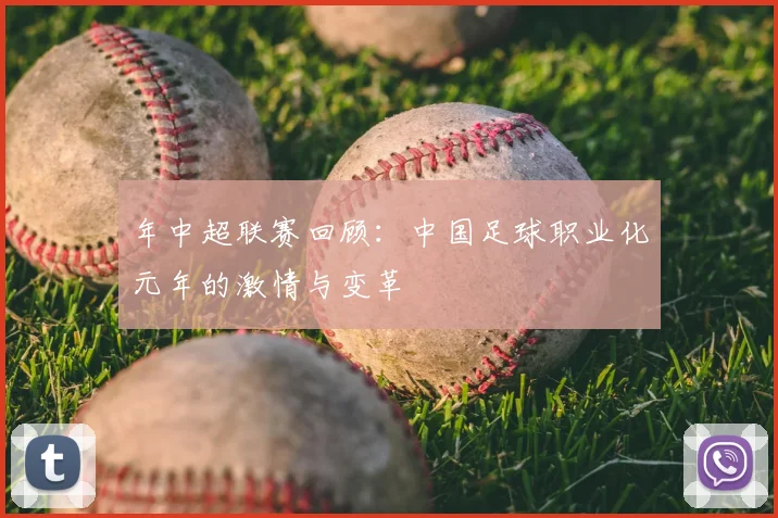 年中超联赛回顾：中国足球职业化元年的激情与变革