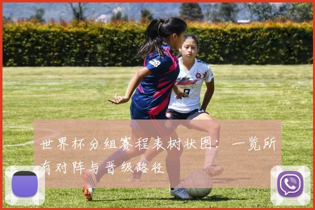 世界杯分组赛程表树状图：一览所有对阵与晋级路径