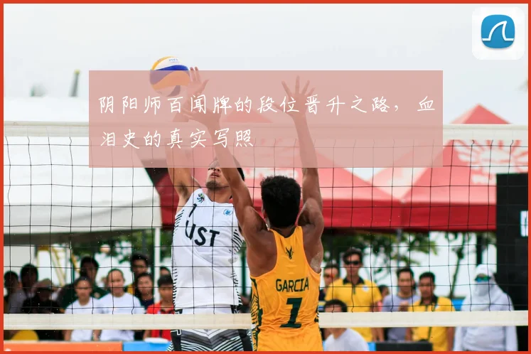 阴阳师百闻牌的段位晋升之路，血泪史的真实写照