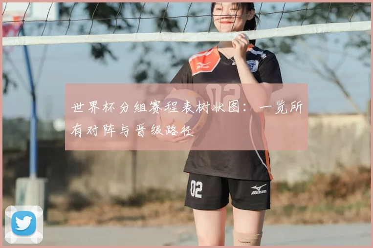 世界杯分组赛程表树状图：一览所有对阵与晋级路径